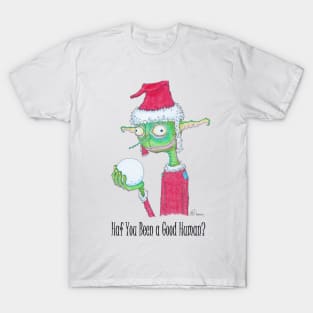 Haf You Been Good? T-Shirt